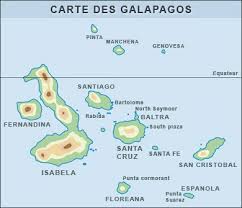 Iles Isabella -  Îles Galapagos