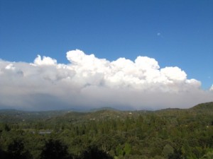 rim fire