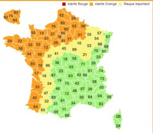 Carte-MTO-Consult
