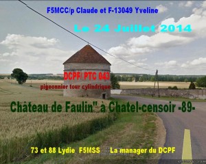 F5MCC- PTC 043 Chât de Félin à Chatel Censoir -89-