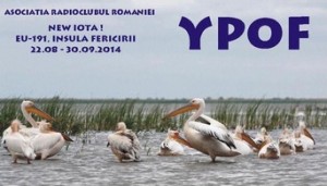 YP0F
