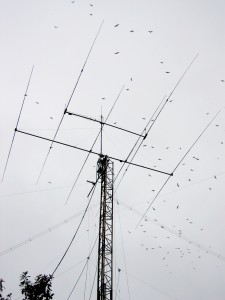 Antennes_TM5G