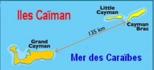 Caïman