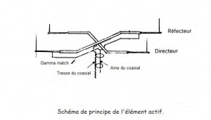 ant-F1ASJ