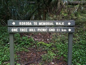 kokoda