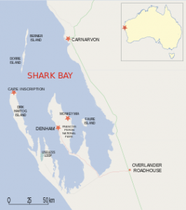 Shark_Bay.svg