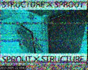 sprout-sstv-received-by-paulo-pv8dx